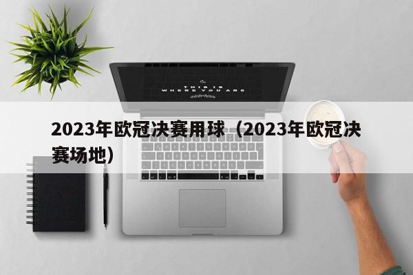 2023年欧冠决赛用球（2023年欧冠决赛场地）