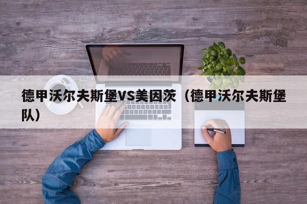 德甲沃尔夫斯堡VS美因茨（德甲沃尔夫斯堡队）